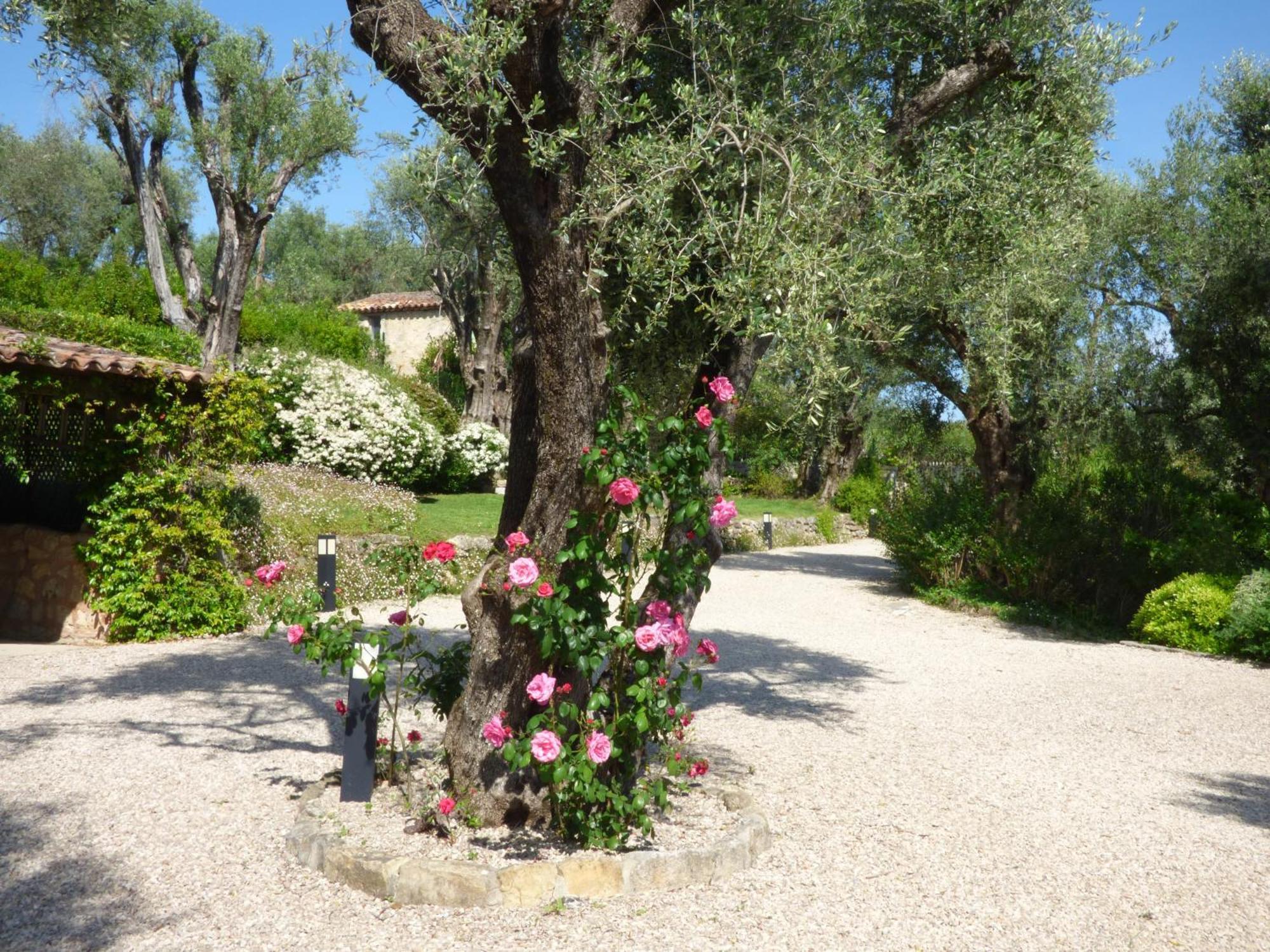 Apartment Cezanne With Heated Pool And Private Garden Chateauneuf-Grasse Ngoại thất bức ảnh